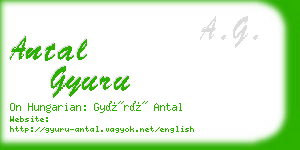 antal gyuru business card